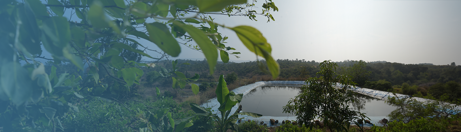 WATER AND SOIL CONSERVATION